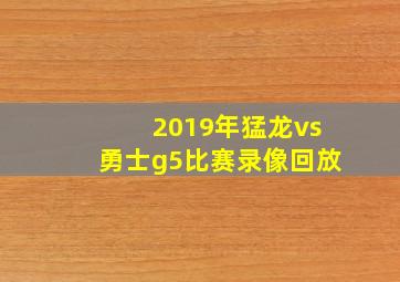 2019年猛龙vs勇士g5比赛录像回放