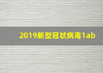 2019新型冠状病毒1ab