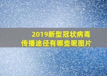 2019新型冠状病毒传播途径有哪些呢图片