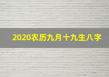 2020农历九月十九生八字