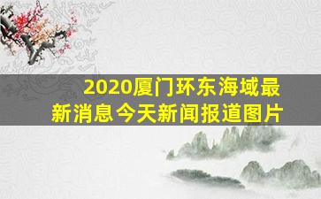 2020厦门环东海域最新消息今天新闻报道图片