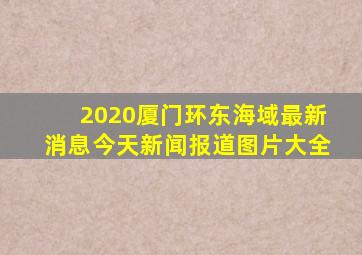 2020厦门环东海域最新消息今天新闻报道图片大全