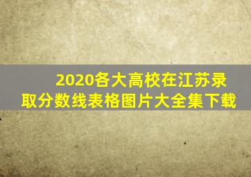 2020各大高校在江苏录取分数线表格图片大全集下载