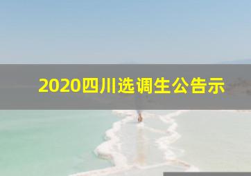 2020四川选调生公告示