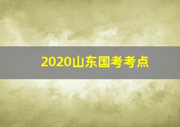 2020山东国考考点