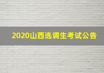 2020山西选调生考试公告