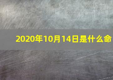 2020年10月14日是什么命