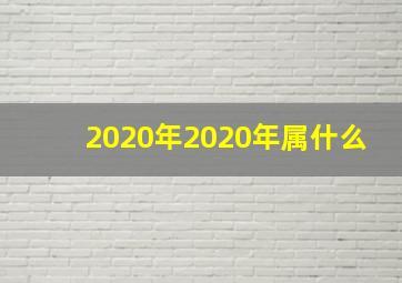 2020年2020年属什么