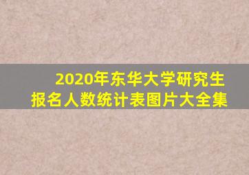 2020年东华大学研究生报名人数统计表图片大全集