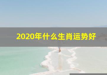 2020年什么生肖运势好