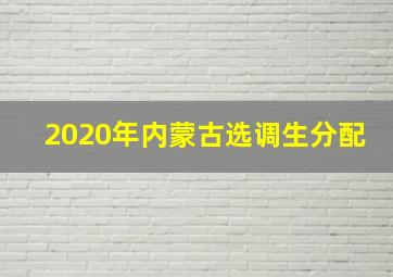 2020年内蒙古选调生分配