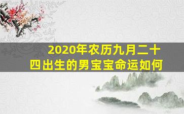 2020年农历九月二十四出生的男宝宝命运如何