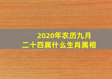 2020年农历九月二十四属什么生肖属相