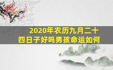 2020年农历九月二十四日子好吗男孩命运如何