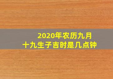 2020年农历九月十九生子吉时是几点钟