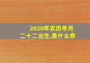 2020年农历冬月二十二出生,是什么命