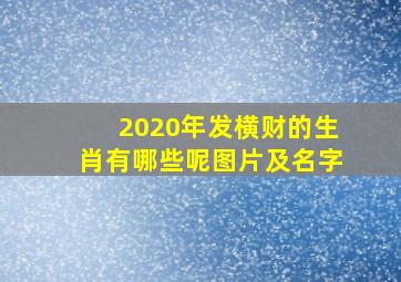 2020年发横财的生肖有哪些呢图片及名字