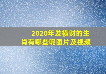 2020年发横财的生肖有哪些呢图片及视频