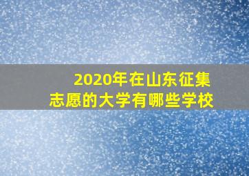 2020年在山东征集志愿的大学有哪些学校