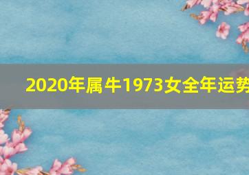 2020年属牛1973女全年运势