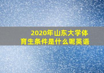 2020年山东大学体育生条件是什么呢英语