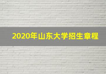 2020年山东大学招生章程