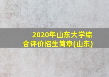 2020年山东大学综合评价招生简章(山东)