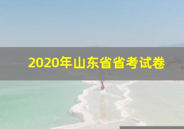 2020年山东省省考试卷