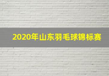 2020年山东羽毛球锦标赛