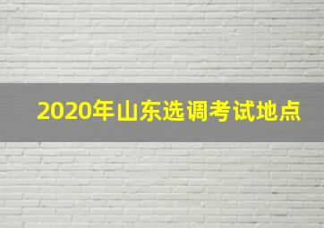 2020年山东选调考试地点