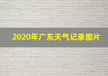 2020年广东天气记录图片