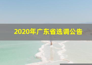 2020年广东省选调公告