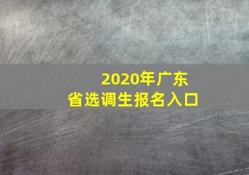 2020年广东省选调生报名入口