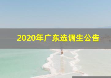 2020年广东选调生公告