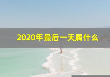 2020年最后一天属什么