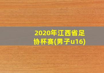 2020年江西省足协杯赛(男子u16)