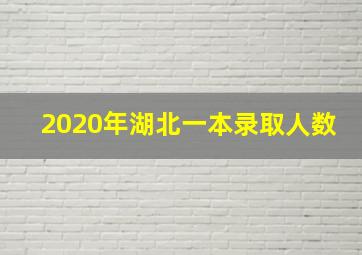 2020年湖北一本录取人数