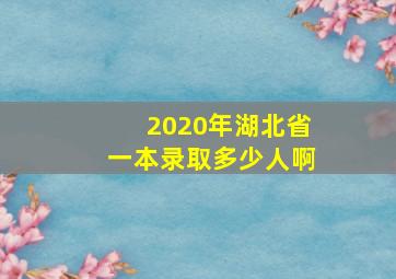 2020年湖北省一本录取多少人啊