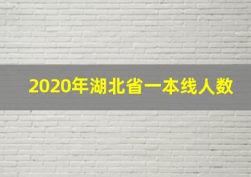 2020年湖北省一本线人数