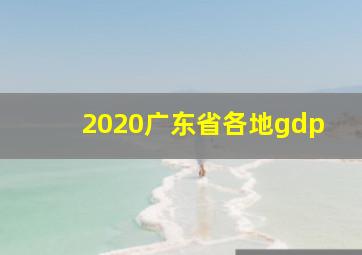 2020广东省各地gdp