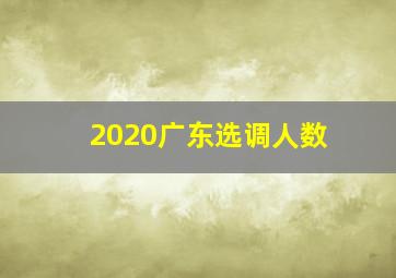 2020广东选调人数