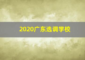 2020广东选调学校