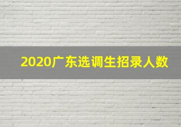 2020广东选调生招录人数