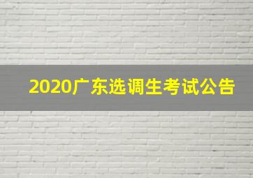 2020广东选调生考试公告