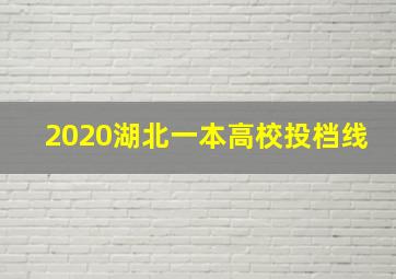 2020湖北一本高校投档线