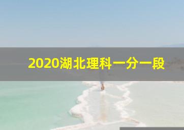 2020湖北理科一分一段