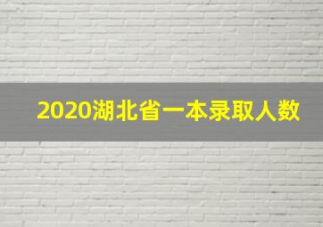 2020湖北省一本录取人数