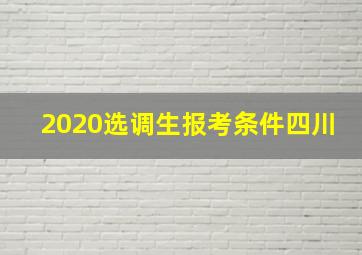 2020选调生报考条件四川