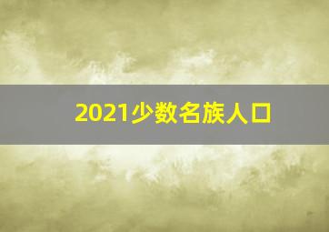 2021少数名族人口