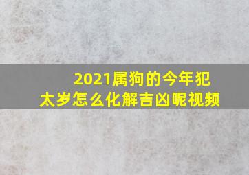 2021属狗的今年犯太岁怎么化解吉凶呢视频